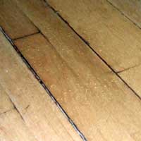damaged floors