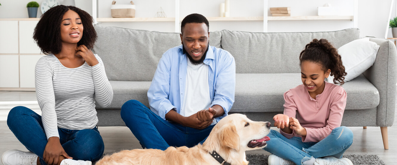 Indoor Air Quality Bakersfield, CA Heating & AC Greer's Banner Air